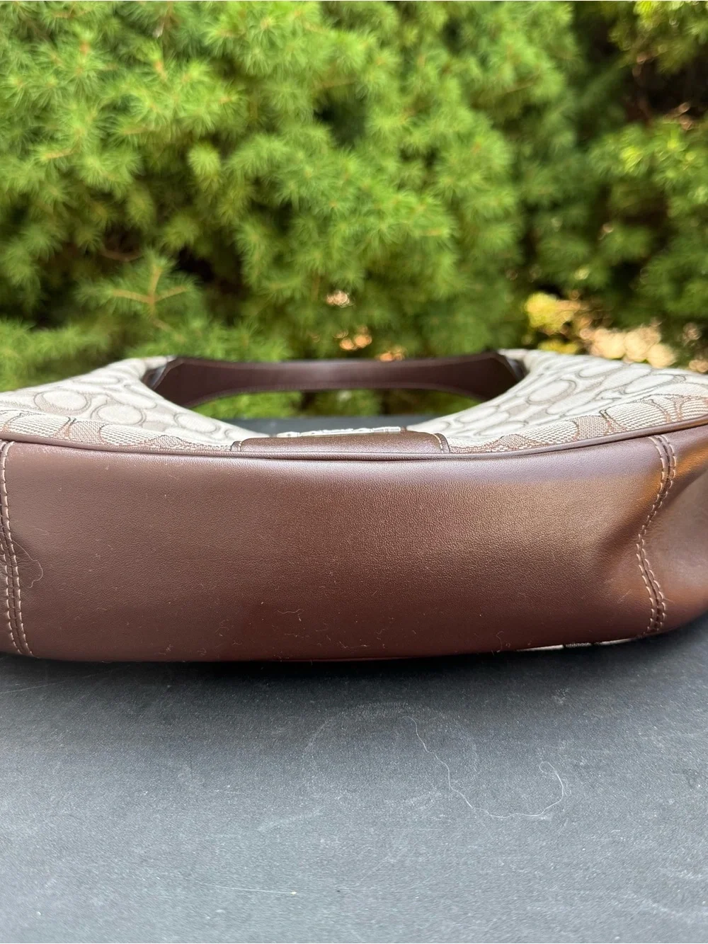 Coach Carmen Brown Signature Hobo Bag - Iconic Canvas and Leather